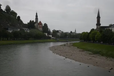 DSC_6161 (Large).JPG